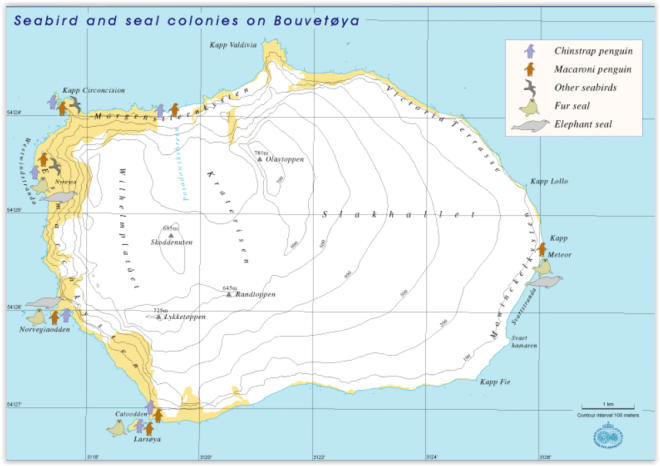 How to find the animals on Bouvet Island is easy