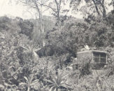 THE NARROW LITTLE ROAD (more deep ruts and huge stones than road) would climb up as if reaching for the sky, curve like a pretzel while hugging two or three tentacles of the mountain, plunge downward toward a deep gully, then start all over again.