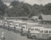 A MAN-MADE VILLAGE comes to lift in the jungle 