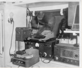 One of the local visitors