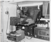 One of the local visitors