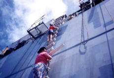 Climbing Jacobs ladder. Visiting ships are substantial for Pitcairn existence.